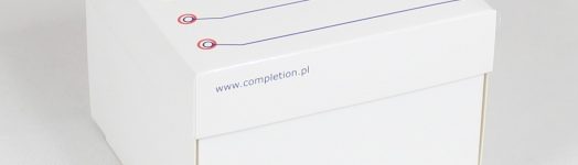 pudelko-kartonowe-PK133-100-100-02