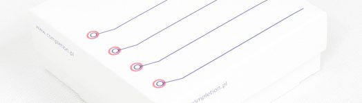 pudelko-kartonowe-PK133-50-100-01