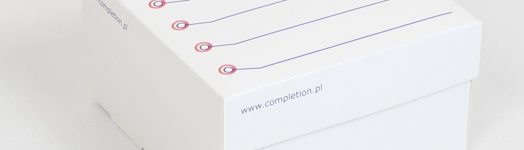 pudelko-kartonowe-PK133-75-100-01